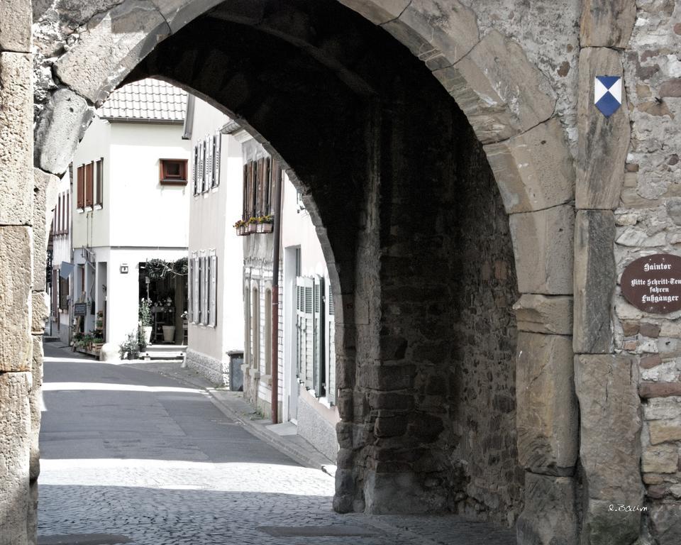 Baerengasse Apartments Freinsheim Dış mekan fotoğraf